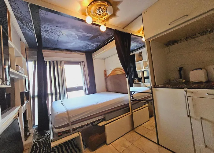 Cosy And Functional Studio In London